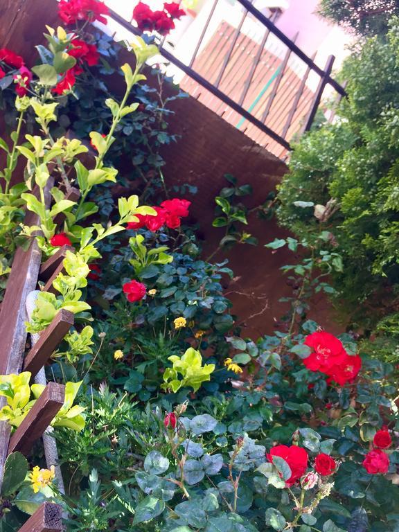 B&B Limone Сан-Леоне Экстерьер фото